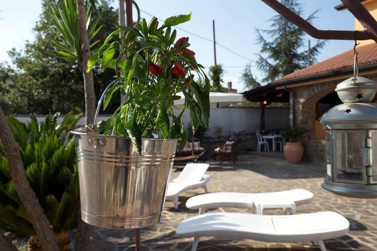 B&B Fasolino Montecorice Kültér fotó